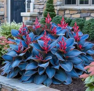 Хоста Грин Фог купить по цене от 669р. в интернет-магазине «Посадика» с доставкой почтой в в Покрове и по всей России – [изображение №1].