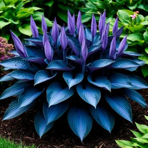 Хоста Сикрет Гров купить по цене от 570р. в интернет-магазине «Посадика» с доставкой почтой в в Покрове и по всей России – [изображение №1].