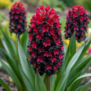 Гиацинт Джем Стоун купить по цене от 2099р. в интернет-магазине «Посадика» с доставкой почтой в в Покрове и по всей России – [изображение №1].