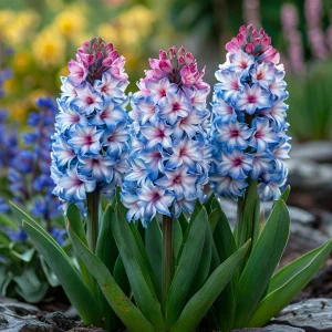 Гиацинт Пинк Мари купить по цене от 2099р. в интернет-магазине «Посадика» с доставкой почтой в в Покрове и по всей России – [изображение №1].