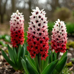 Гиацинт Скай Гарден купить по цене от 2099р. в интернет-магазине «Посадика» с доставкой почтой в в Покрове и по всей России – [изображение №1].